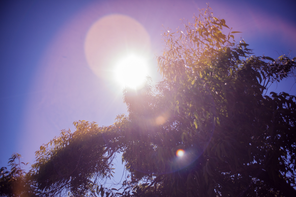 What is Lens Flare and How to Deal with it in Photography