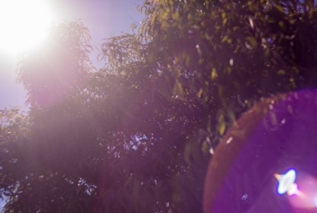 Helios 44-2 has a soft full frame haze
