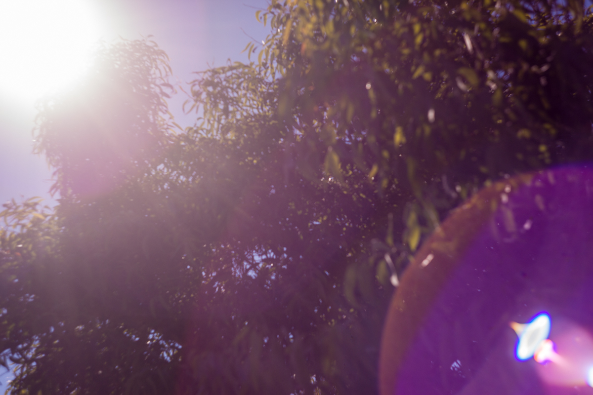 Lens flare in CGI movies. No, I am not talking about J.J. Abrams