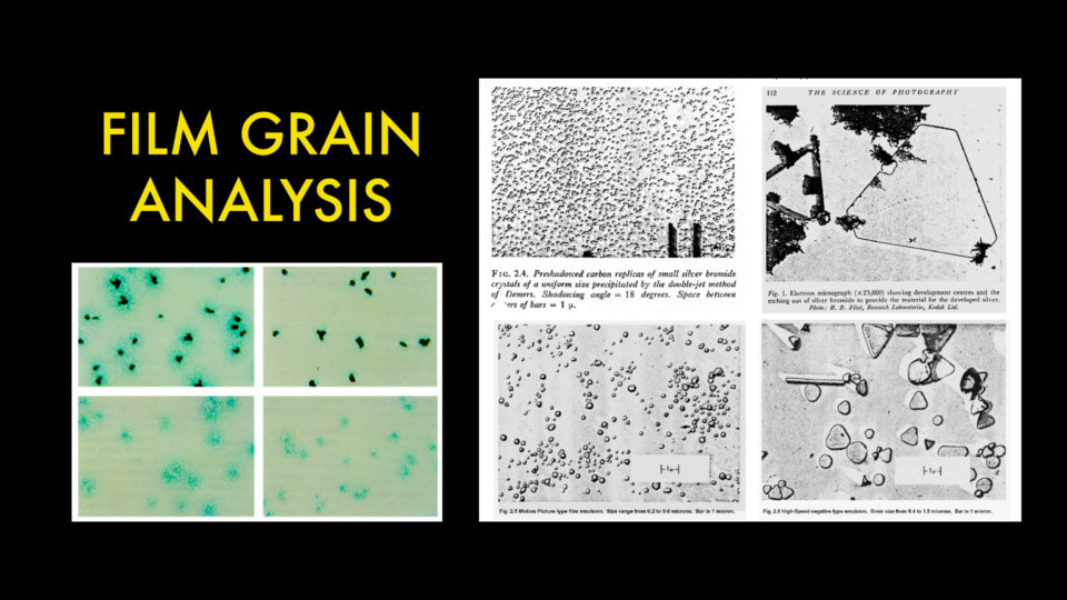 Film Grain Analysis